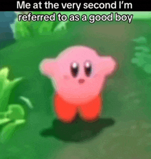 a picture of kirby with the caption me at the very second i m referred to as a good boy