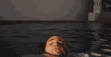 Sexy Coming Out From The Water GIF - Sexy Coming Out From The Water Seductive GIFs