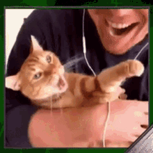 Schmoedown Spidey Cat GIF - Schmoedown Spidey Cat Quirky Mercs GIFs