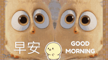 早上好 早安 GIF - 早上好 早安 Morning GIFs