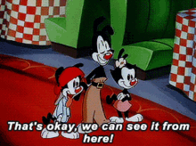 Animaniacs Thats Okay We Can See It From Here GIF - Animaniacs Thats Okay We Can See It From Here We Can See It From Here GIFs
