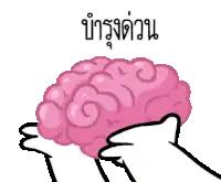 a cartoon drawing of a hand holding a pink brain with chinese writing