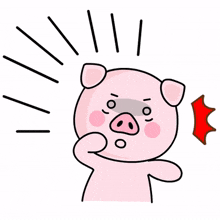 pig animal pink cute realized