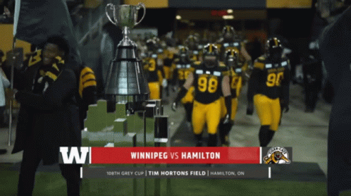 Hamilton Tiger-Cats on X: IMAGE: Grey Cup configuration at Tim Hortons  Field. #CFL #Ticats  / X