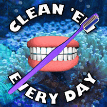 Clean You Teeth Clean Them Every Day GIF - Clean You Teeth Clean Them Every Day Brush Your Teeth GIFs