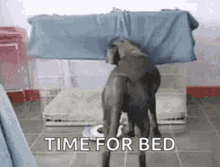 Exhausted Tired GIF - Exhausted Tired Worn Out GIFs
