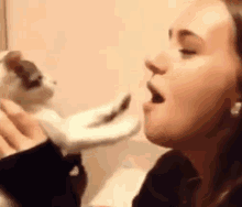 Cat Kiss GIF - Cat Kiss Girl GIFs