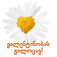 a daisy with a heart shaped center is surrounded by foreign writing in orange