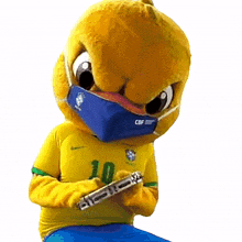 tocando pandeiro canarinho cbf confedera%C3%A7%C3%A3o brasileira de futebol sele%C3%A7%C3%A3o brasileira