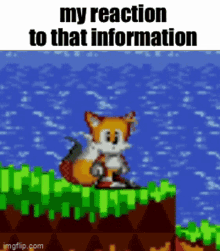 Tails Sonic GIF - Tails Sonic Sonic The Hedgehog GIFs
