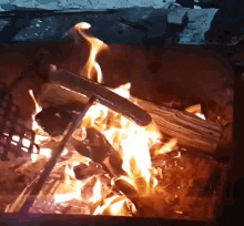 Flame Hoot GIF - Flame Hoot Slow GIFs