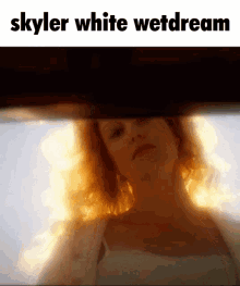Skyler White Skylar White GIF - Skyler White Skylar White Skyler GIFs