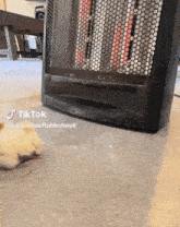 a tiktok video of a chicken laying on the floor next to a heater