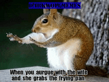 a squirrel is standing next to a tree holding a frying pan .