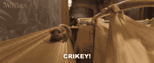 Crikey The Witches GIF - Crikey The Witches Bruno GIFs