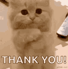 The Thank GIF - The Thank You GIFs