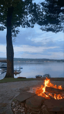 Campfire Landscape GIF - Campfire Landscape GIFs