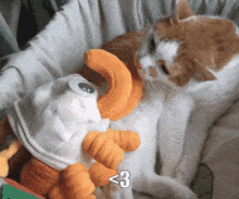 Jupiter Cat GIF - Jupiter Cat Kiss GIFs