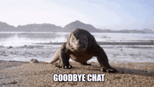 Komodo Komodo Dragon GIF - Komodo Komodo Dragon Goodbye Chat GIFs