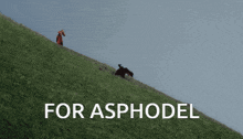 a person walking up a grassy hill with the words " for asphodel " below them