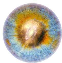 Iris Eyes Sticker - Iris Eyes Space Stickers
