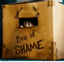 Happens More Often Then Not With Me GIF - Happens More Often Then Not With Me Box Of Shame GIFs