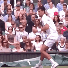 Novak Djokovic Ouch GIF