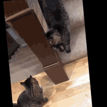 Cats Rejected GIF - Cats Rejected Love GIFs