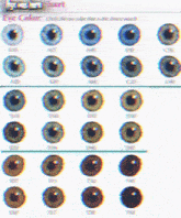 Ksw Flyx Eye Color Chart GIF - Ksw Flyx Eye Color Chart Eye Color GIFs