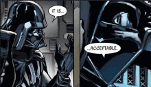 Darth Vader It Is Acceptable GIF - Darth Vader It Is Acceptable GIFs