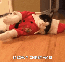 Merry Christmas Seasons Greetings GIF - Merry Christmas Seasons Greetings Cat GIFs