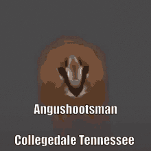 Angushootsman Discord GIF - Angushootsman Discord Johnabbott GIFs