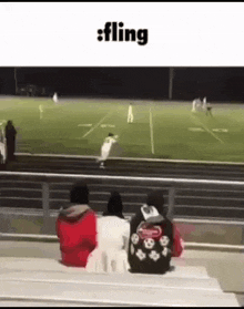 a group of people are watching a football game from the stands .
