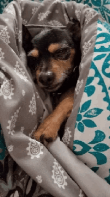 Goodnight Puppy GIF - Goodnight Puppy GIFs