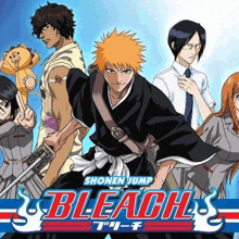 a group of anime characters are standing next to each other in a bleach poster .