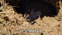 Its Water Primal Survivor GIF - Its Water Primal Survivor Finding Water In The Desert GIFs