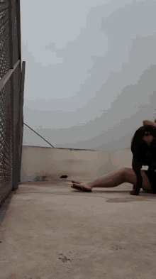 Dogs Petting Dog GIF - Dogs Petting Dog Rooftop GIFs