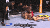 ufc lightweight bout between mckinney and hadzovic