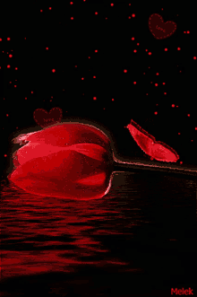 Love Rose GIF - Love Rose Heart GIFs