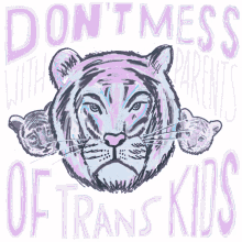 trans pride