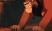 kovu angry lion king growl