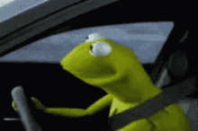Kermit Frog GIF - Kermit Frog Stare GIFs