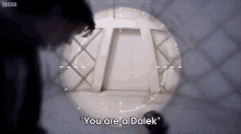 Doctor Who: The Doctor Tells That Clara Oswald She Is Actually A Dalek GIF - Dr Who Jenna Louise Coleman Dalek GIFs