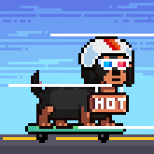 a dog wearing a helmet and 3d glasses is riding a skateboard and holding a sign that says hot
