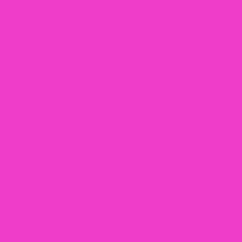 a man and a woman are shown on a pink background with a ladybug and flowers