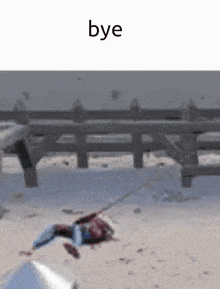 a person is laying on the ground with the word bye above them