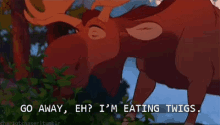rutt go a way eh im eating twigs brother bear eating hungry