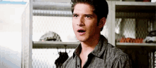 Real Scott Are You Kidding GIF - Real Scott Are You Kidding Tyler Posey GIFs