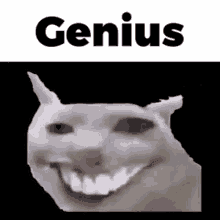 Catcrack Genius GIF - Catcrack Genius Meme Cat GIFs