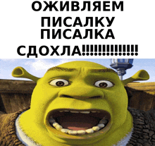 shrek from the movie shrek with his mouth open and the words " oживаем pisalky pisalka cdoxla " below him